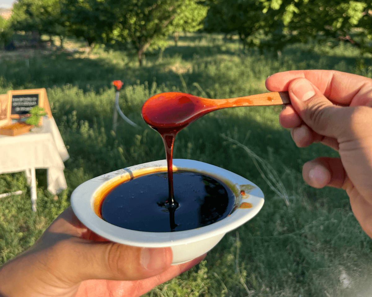 Dut Pekmezi